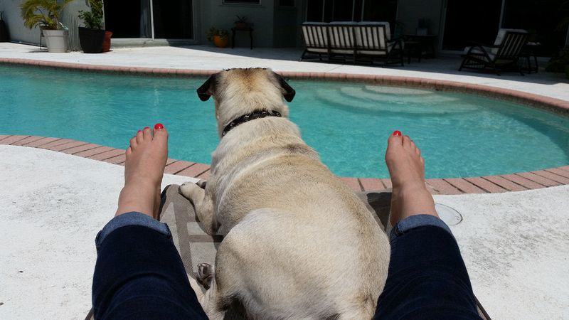 Oscar and Jessica lounging by the pool